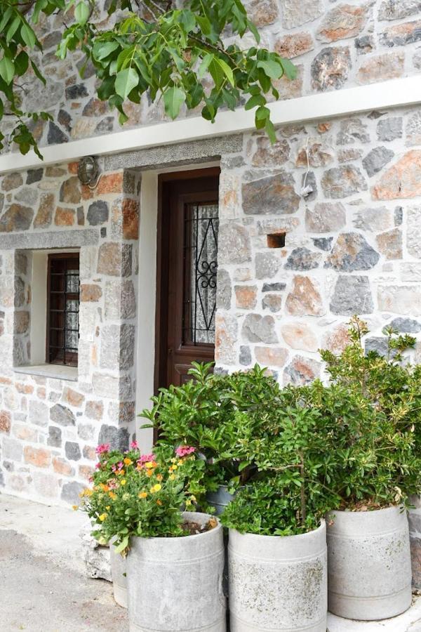 Apartment Selena Krasi