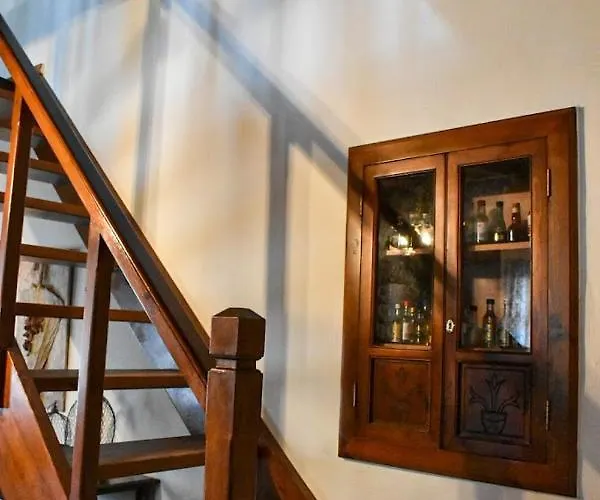 Selena Guest House