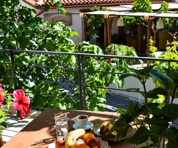 Selena Guest House